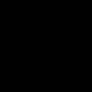 Meet your Posher, Hailey